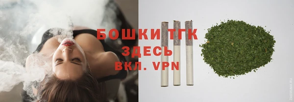 дживик Чита