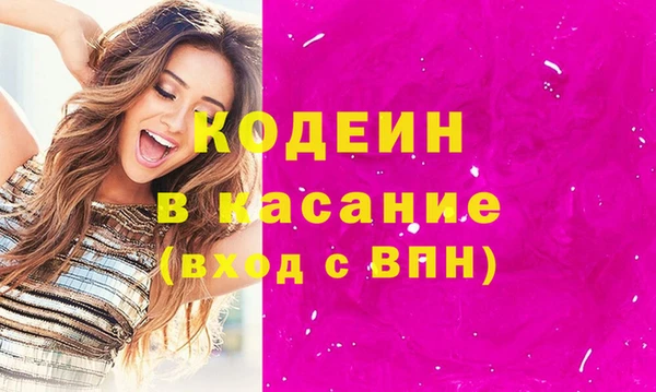 дживик Чита