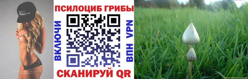 Псилоцибиновые грибы ЛСД  Оренбург 